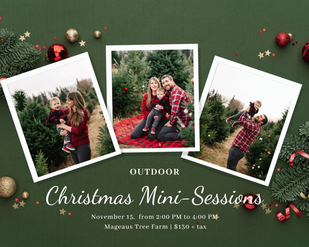 Tree Farm Christmas Mini Sessions Ottawa 2025